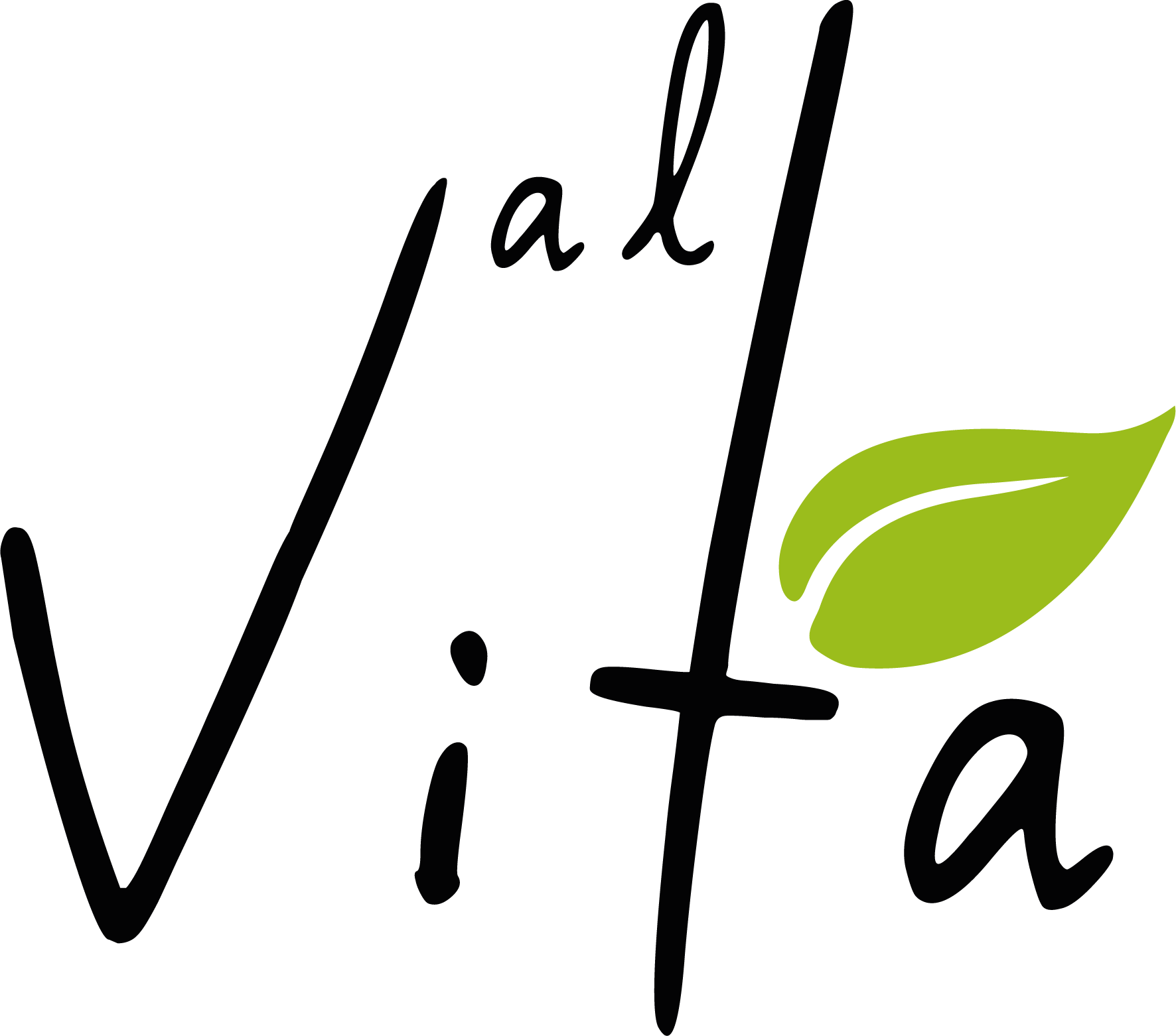 logo-alvita-nero